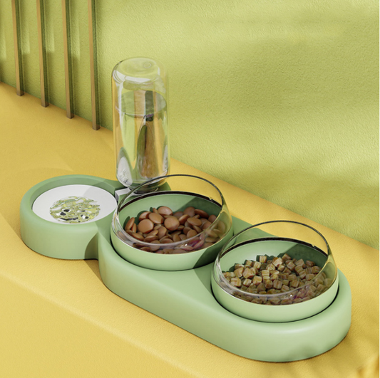 Automatic Pet Feeder with Water Fountain and Stand