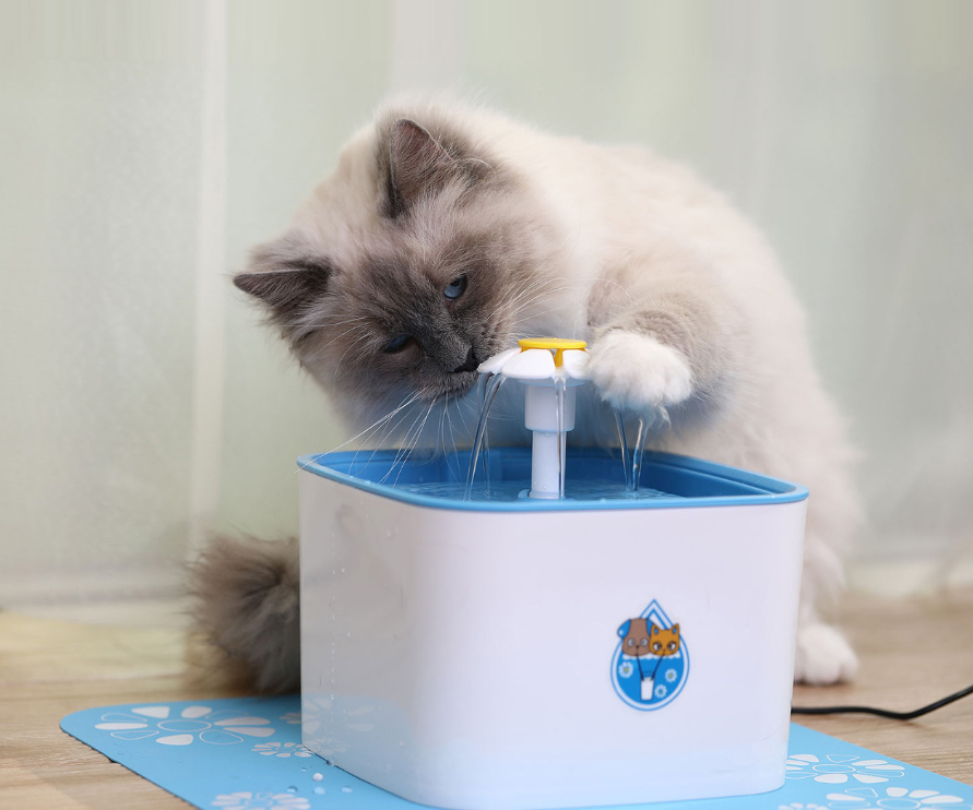 Automatic Pet Water Fountain for Cats and Dogs