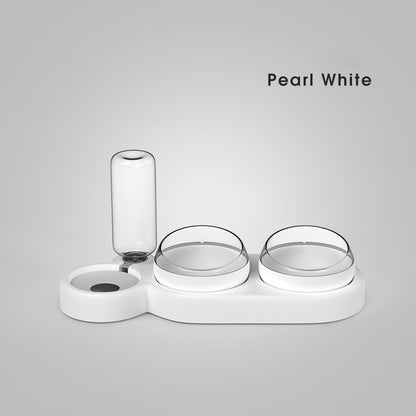 Automatic Pet Feeder with Water Fountain and Stand
